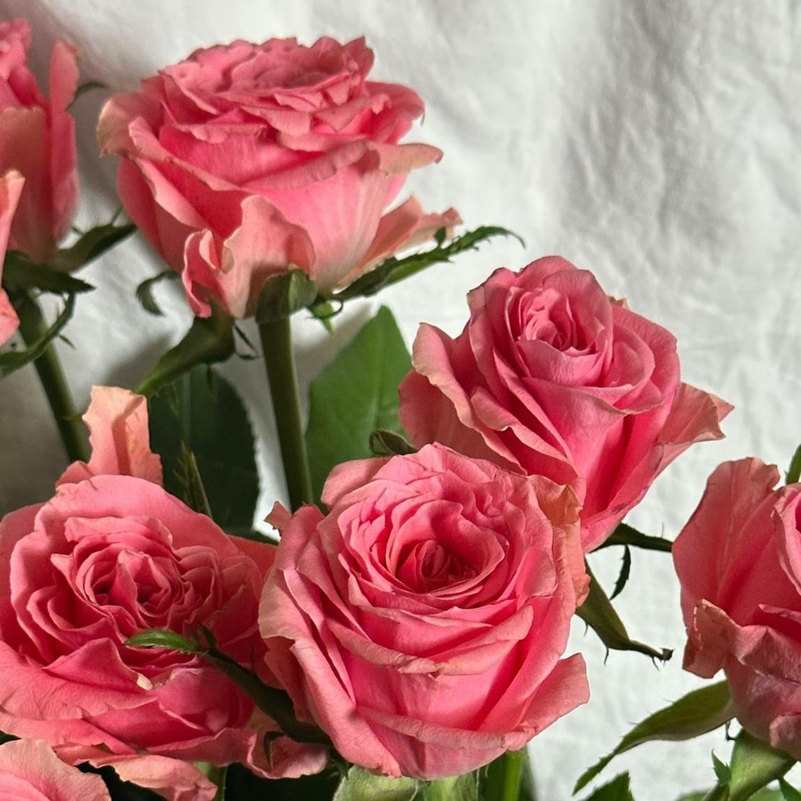 atef abughanam (@ghannamarafat) on Twitter photo 