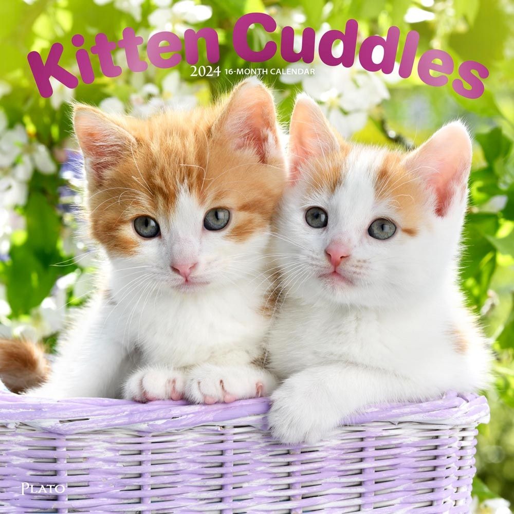 It's time to celebrate the ultimate cuteness overload - National Kitten Day! 🐱😻 Today we honor these adorable little furballs and all the love and joy they bring into our lives. #NationalKittenDay #KittenLove loom.ly/HUBfd-o