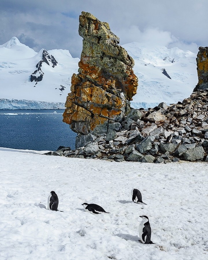 iaato_org's tweet photo. IAATO was founded in 1991 to advocate and promote the practice of safe & environmentally responsible private-sector travel to the Antarctic. Operating within the parameters of the Antarctic Treaty System we strive to uphold its values of #peaceandscience. ©️@yurichoufour https://t.co/5k13kIU7RN