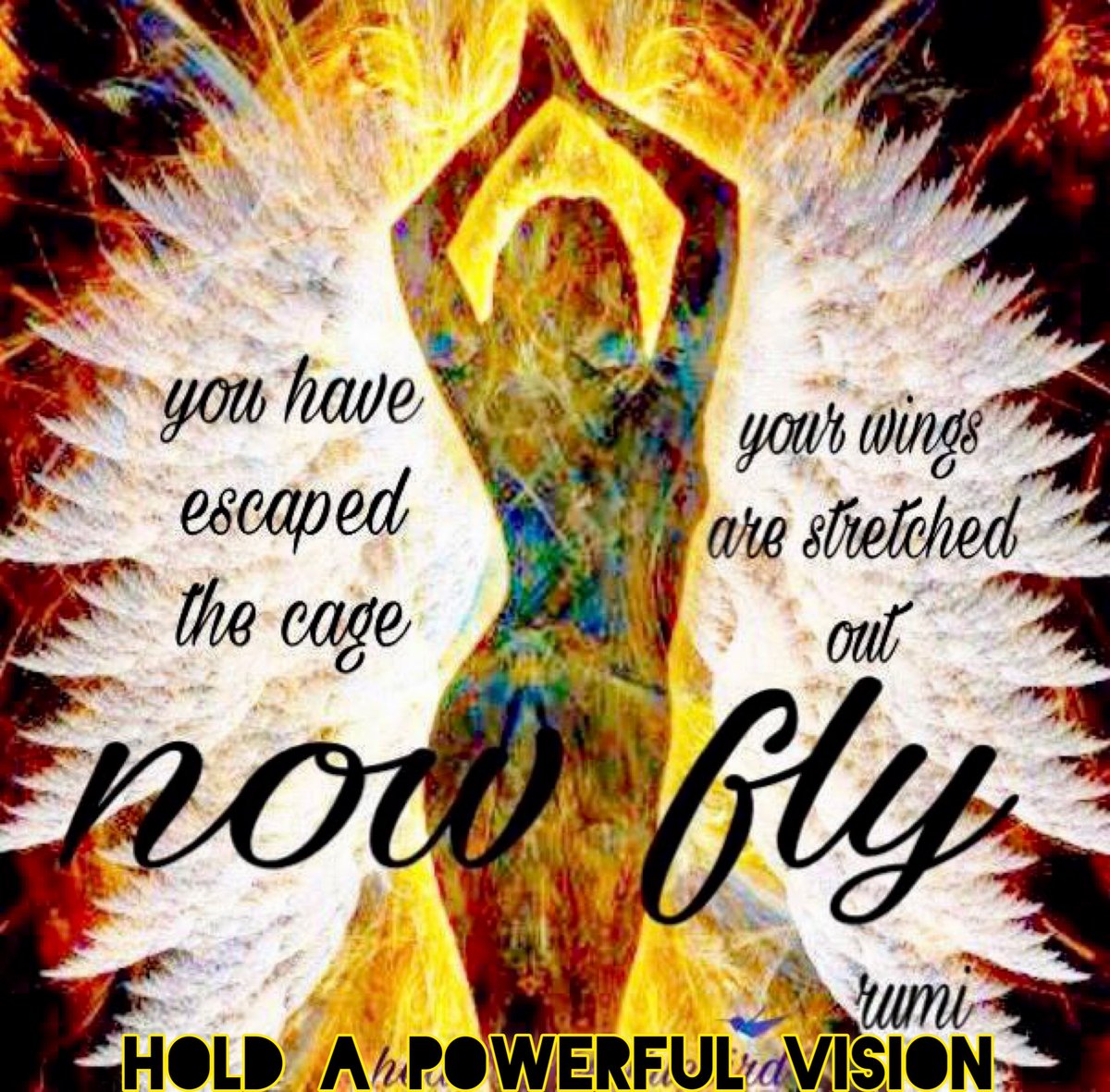 HOLD A #POWERFULVISION for yourSELF! 

SEE & “FEEL” EVERY DREAM & DESIRE YOU HAVE/HOLD FOR NEW EARTH & HUMANITY!

IT IS SURELY BEING CREATED / manifested NOW… 

You have escaped the cage, your wings are stretched out, now FLY.

Continue to RISE.
🙏🏽✨

Credit: @TimCurry