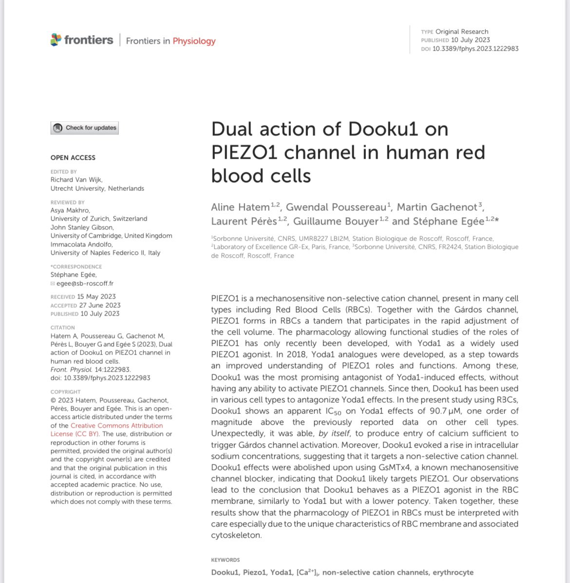 Very happy to announce that my first research article has just been published in Frontiers in Physiology.
Read it and discover the unique effects of Dooku1 molecule on Red Blood Cells 🩸
Full article: frontiersin.org/articles/10.33…