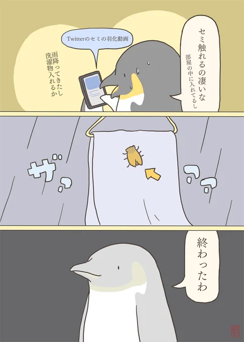 セミの季節がやってくる 