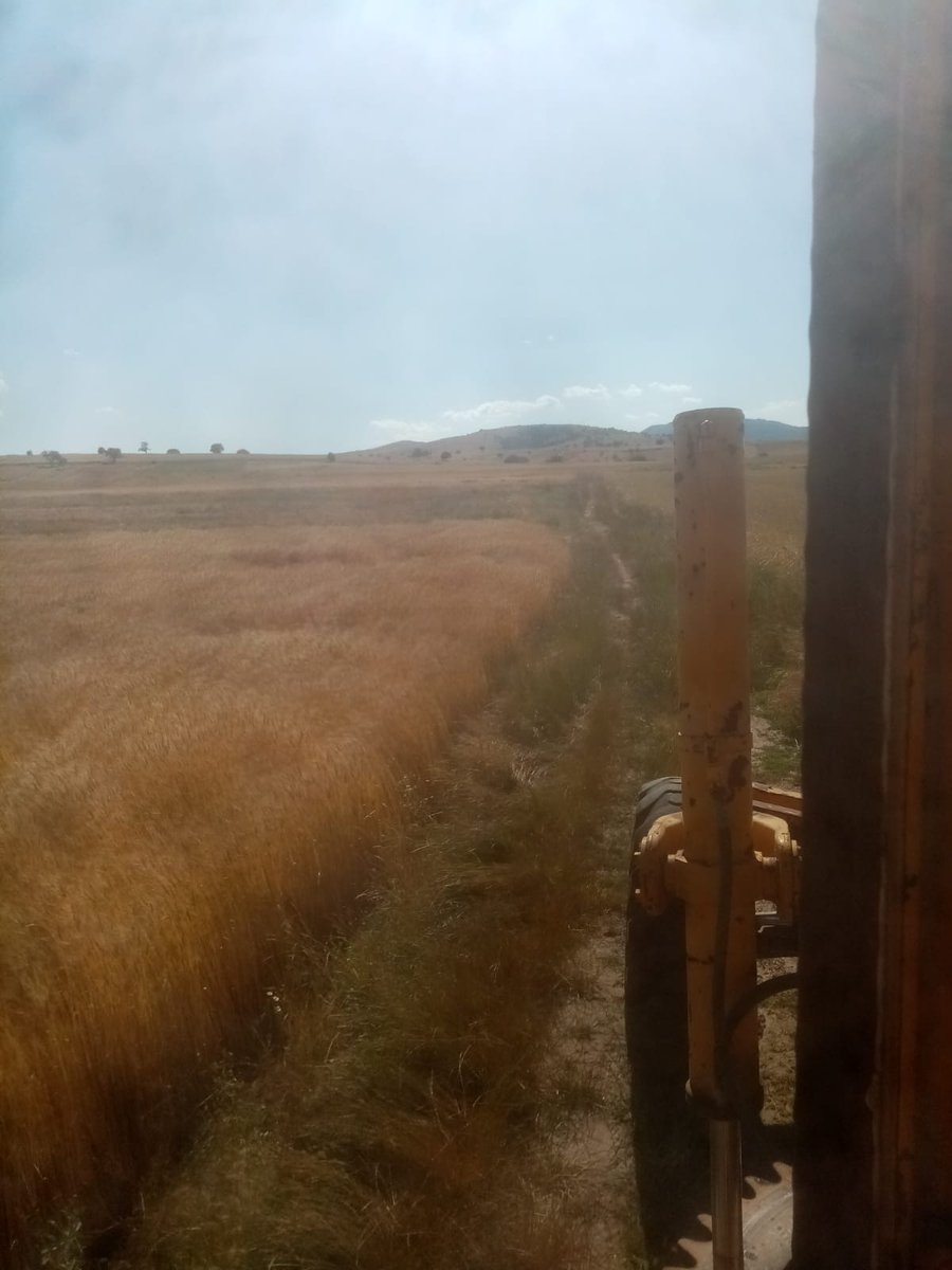 dogerbelediyesi's tweet photo. Sakaryokuş mevkisi yol çalışması devam ediyor. https://t.co/U2Zistnpoi