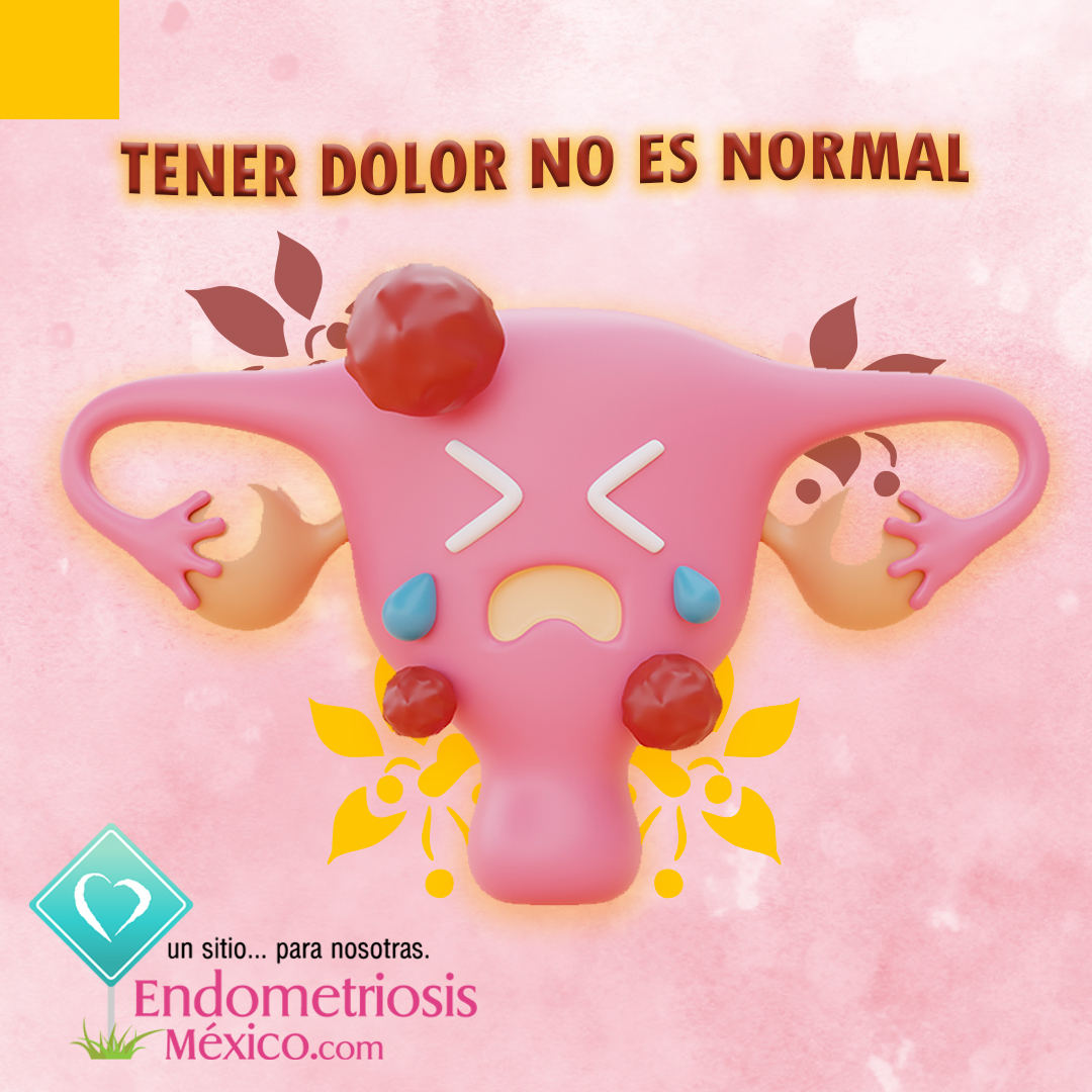 endomx's tweet photo. ¿Endo me qué?
🙋‍♀️ Endometriosis, endo - me - trio - sis.
👉 Infórmate: https://t.co/YWH55cpf11 https://t.co/2PZwcd6z25