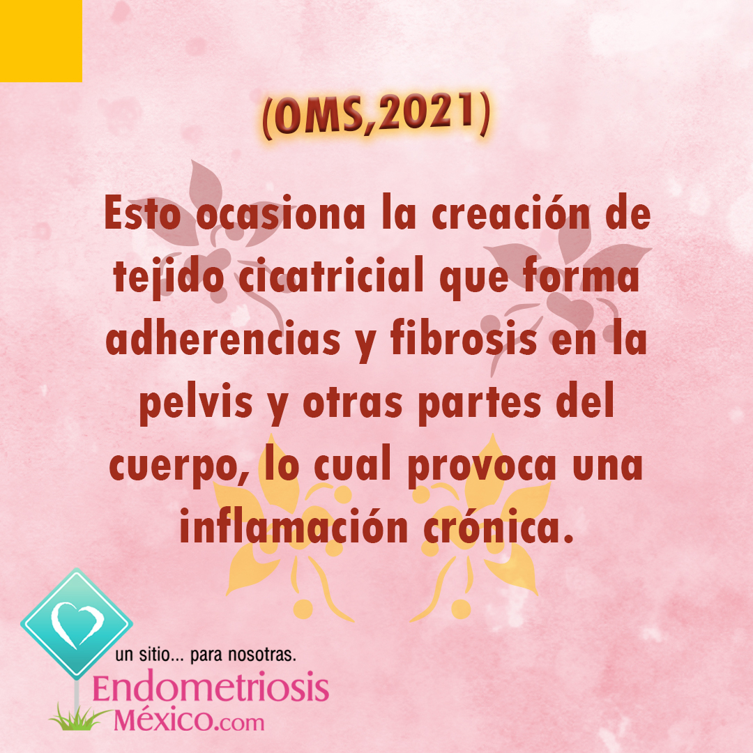 endomx's tweet photo. ¿Endo me qué?
🙋‍♀️ Endometriosis, endo - me - trio - sis.
👉 Infórmate: https://t.co/YWH55cpf11 https://t.co/2PZwcd6z25