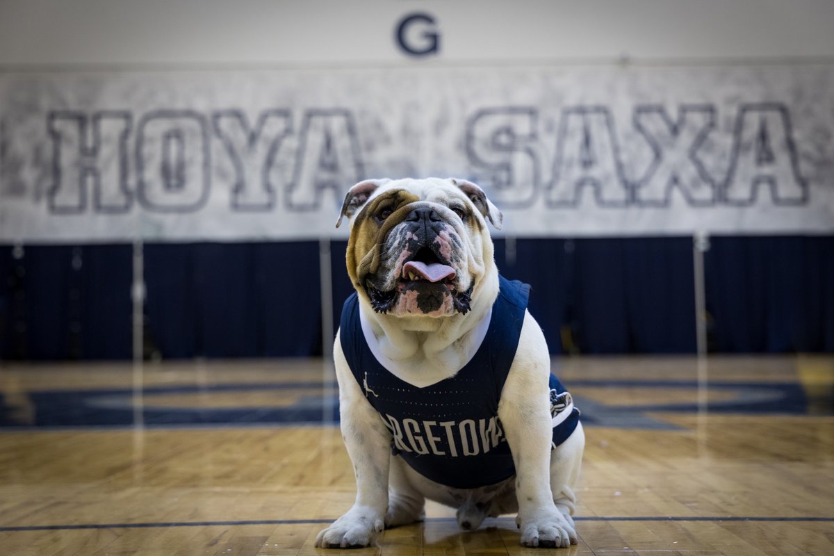 With a heavy heart, we share the sad news that our beloved Jack the Bulldog has gone over the Rainbow Bridge after a brief illness. Please keep all who cared for and loved him so dearly in your thoughts and prayers.