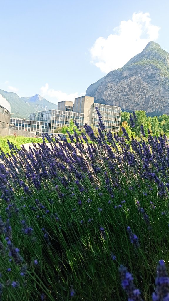 MatildeCiani28's tweet photo. Just finished this intense and fruitful week at @esrfsynchrotron to characterize metal-organic #materials obtained by #cyanobacteria during #bioremediation. 
It's always nice to come back here. https://t.co/DLpQCnvlDG
