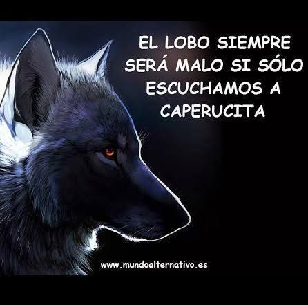 Poesías y frases (@poesasyfrases21) on Twitter photo 
