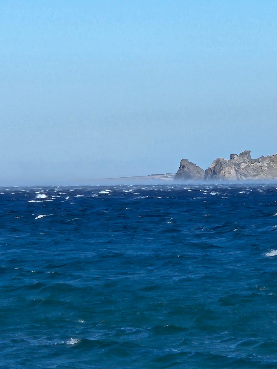 Vi blåser nesten bort her i Sydenland, men det gjør ikke noe. Det er jo ganske koselig når det uler og piper langs husveggen. Prøvde meg en tur på stranda for å ta bilder av sjøen - alle de fine skumtoppene lot seg dessverre vanskelig fotografere.