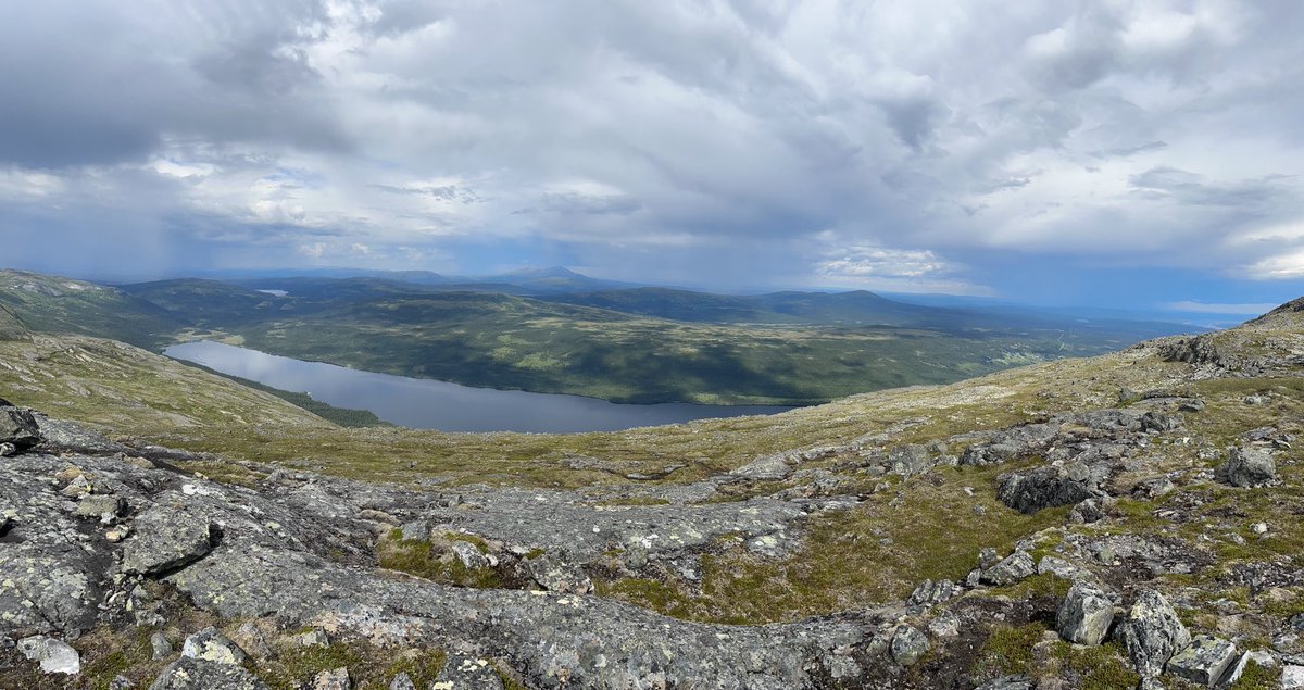 Peter Arnevall tweet media