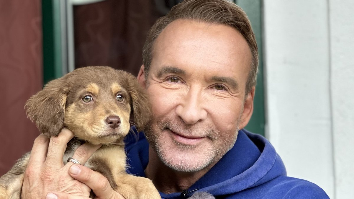 Wir begleiten Jochen Bendel und die #SOKOWelpenhandel, Tierschützer:innen Sina Hanke und Stefan Klippstein, bei ihrem Kampf gegen die Welpenmafia - jetzt im "SAT.1 GOLD investigativ".