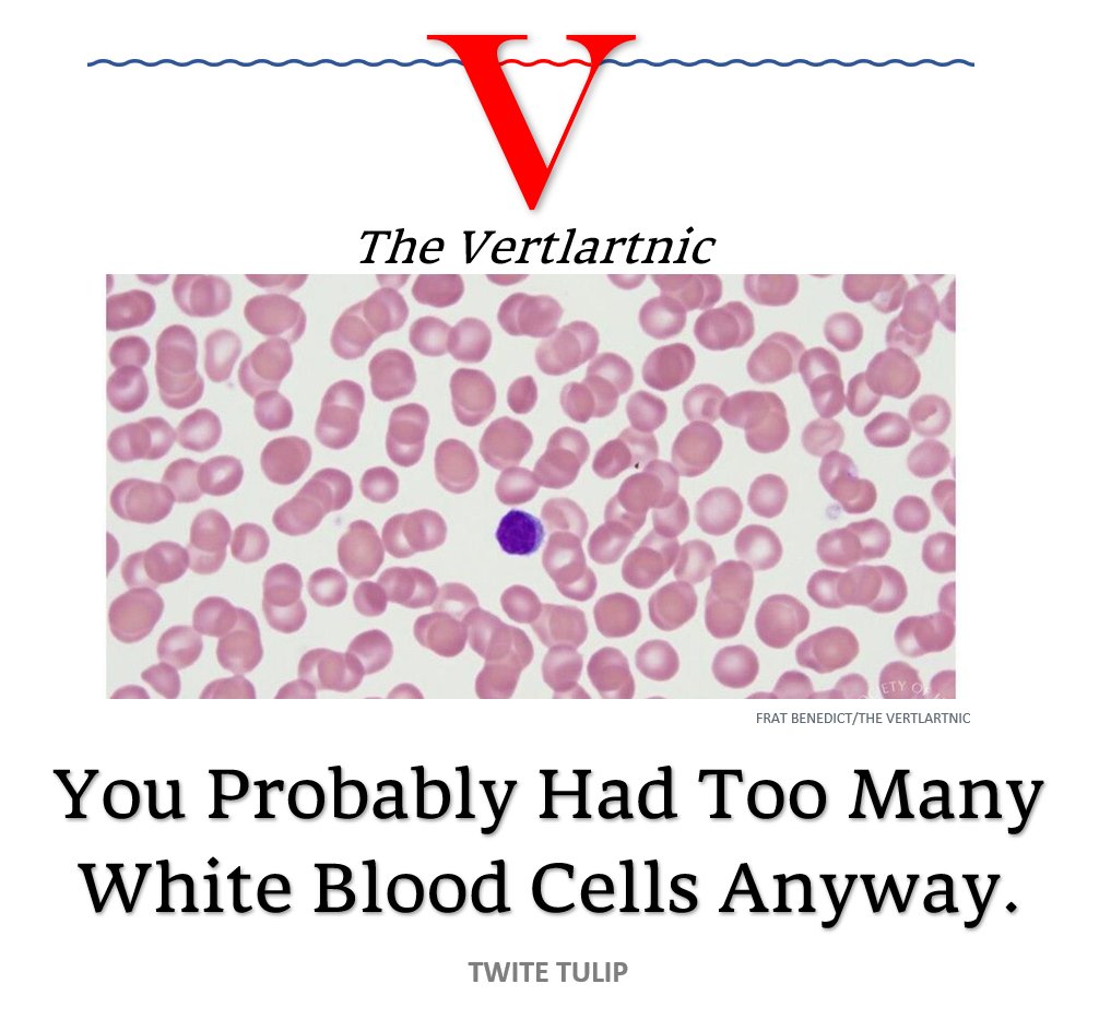 TheVertlartnic's tweet photo. You Probably Had Too Many White Blood Cells Anyway. https://t.co/etq2UEzFQR