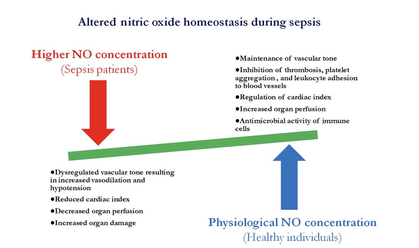 Analyze & Optimize on Twitter "Sepsis is often lethal by producing a