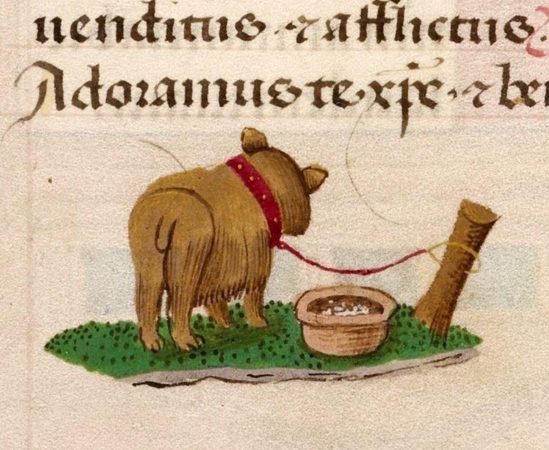 little dog, netherlands, 15th century