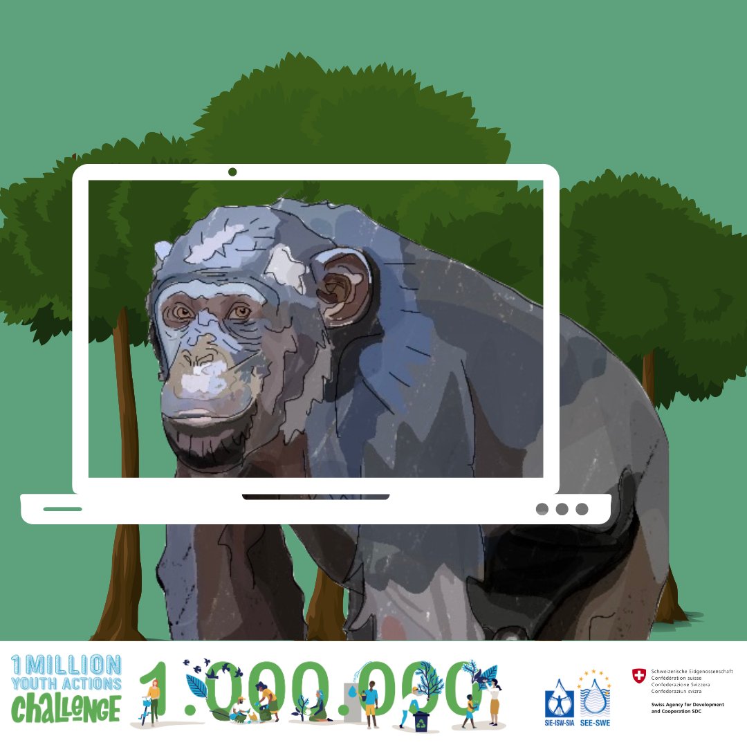Happy #WorldChimpanzeeDay 2023 🙉

Whats your favourite documentary about #Chimps?

👇👇👇Tell us... 
and we can add it to the #1MYAC environmentLIST
1myac.com/en/blog 
 
@SwissDevCoop @InternSecrWater @RootsandShoots
