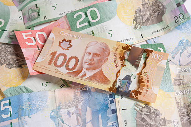 JaneBrownNews's tweet photo. More than half of Canadians have $200 or less at the end of every month after paying bills: @MNPdebt survey. #CostofLiving #InterestRates #Budget 
https://t.co/yV9n3JYmXo https://t.co/02RgRy6xCZ