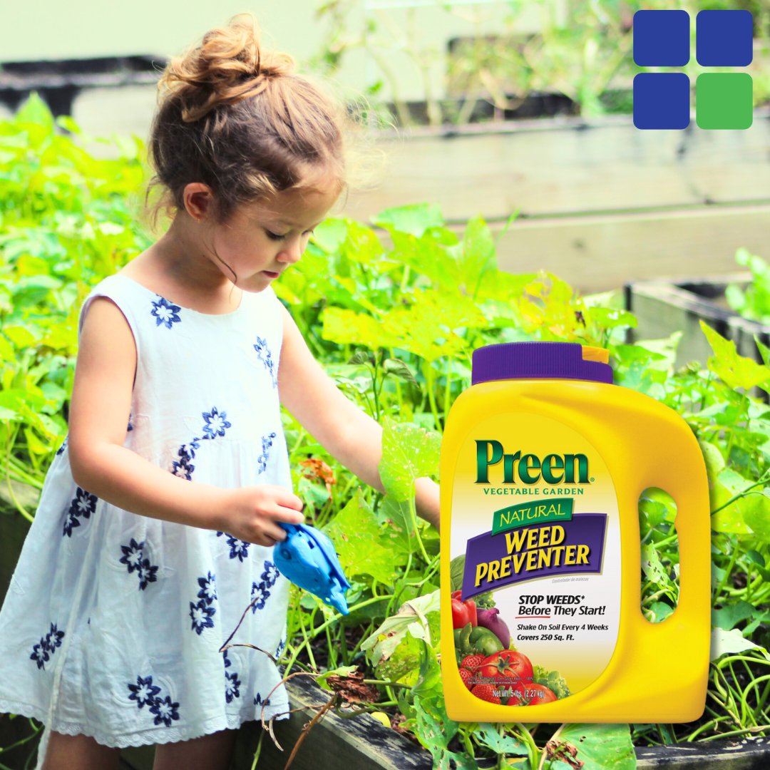 RsiHardware's tweet image. Preen Natural Vegetable Garden Weed Preventer is formulated to control some of the toughest weeds. Sprinkle around established vegetables, herbs and fruits once a month to prevent weeds from returning to your garden. Safe for Children &amp;amp; Pets too!