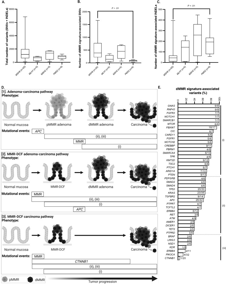 Molecular Profile of MSH6-Associated #Colorectal #Carcinomas Shows Distinct Features From Other Lynch Syndrome–Associated Colorectal Carcinomas ➡️ ow.ly/pj7P50P7vRc