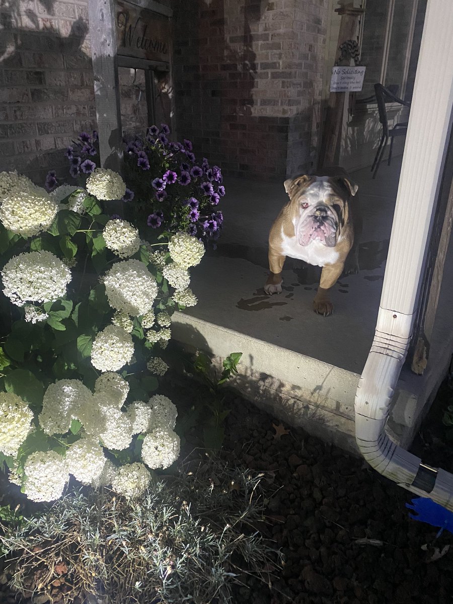 Enjoyed my Sunday evening out on the porch.