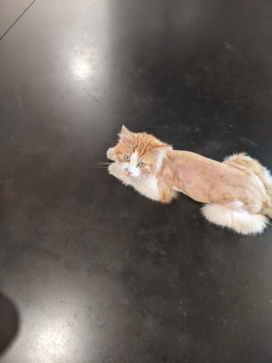 _lizziehoward's tweet image. We have a very special guest at the #iamcr2023 publishers&apos; stands