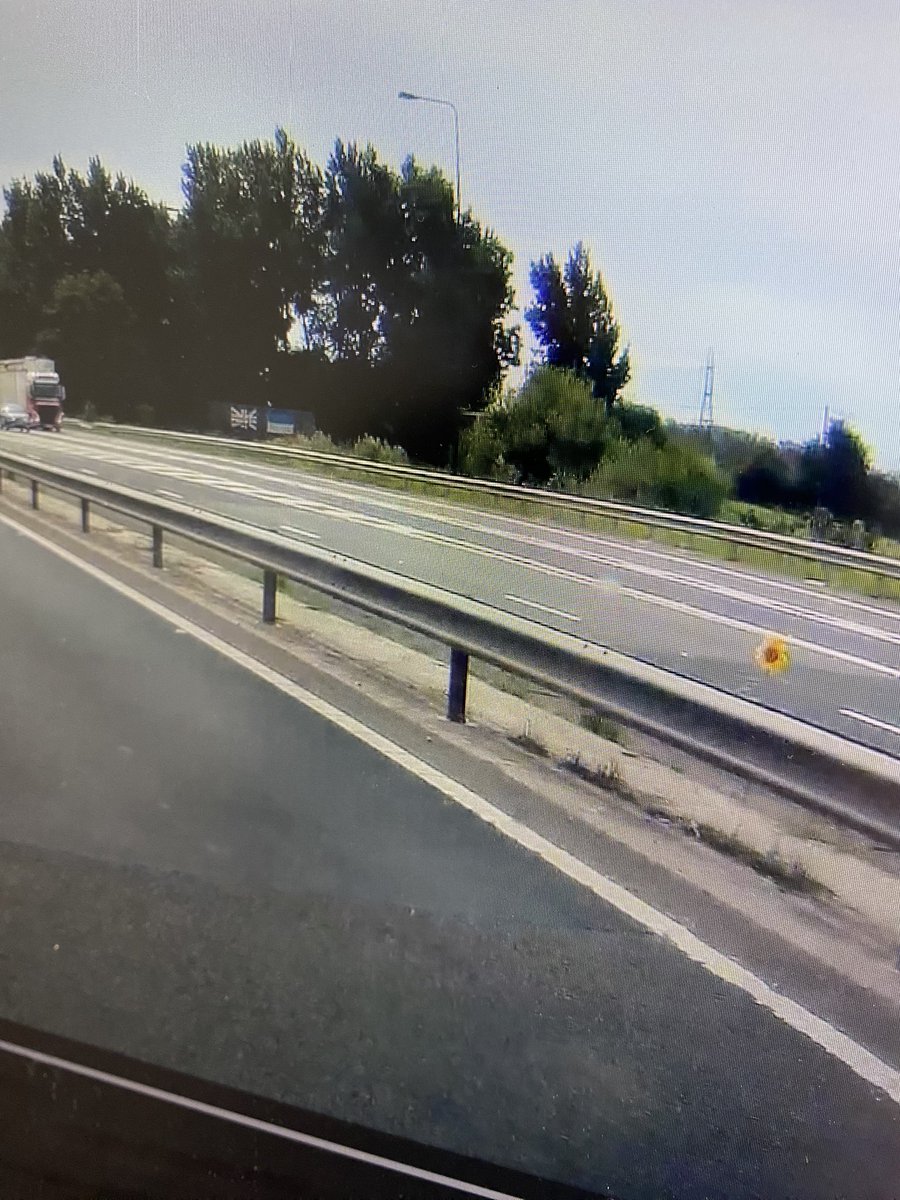 LukeAM2006's tweet photo. Sunflower in the middle of the M66 motorway near junction 4 Simister. Little bit of colour to brighten up the dull grey motorway @MENnewsdesk @HighwaysNWEST @BuryTimes https://t.co/1VNOhBevGj