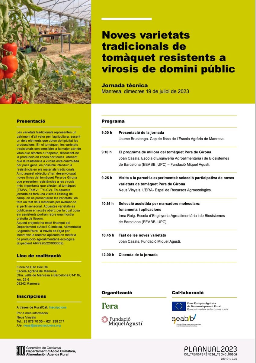 Us recordem que el proper 19 de juliol tenim nova jornada, vine a Can Poc Oli (Manresa) a mirar i tastar les noves varietats de tomaquets 🍅 que hem desenvolupat. Us hi esperem! #Virosis #FMA #Tomatos