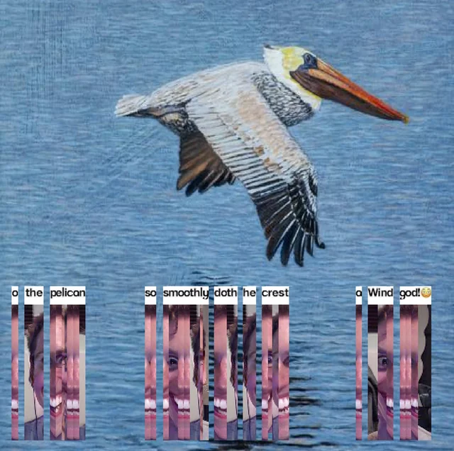 jerma sensory bot ☆ tweet media