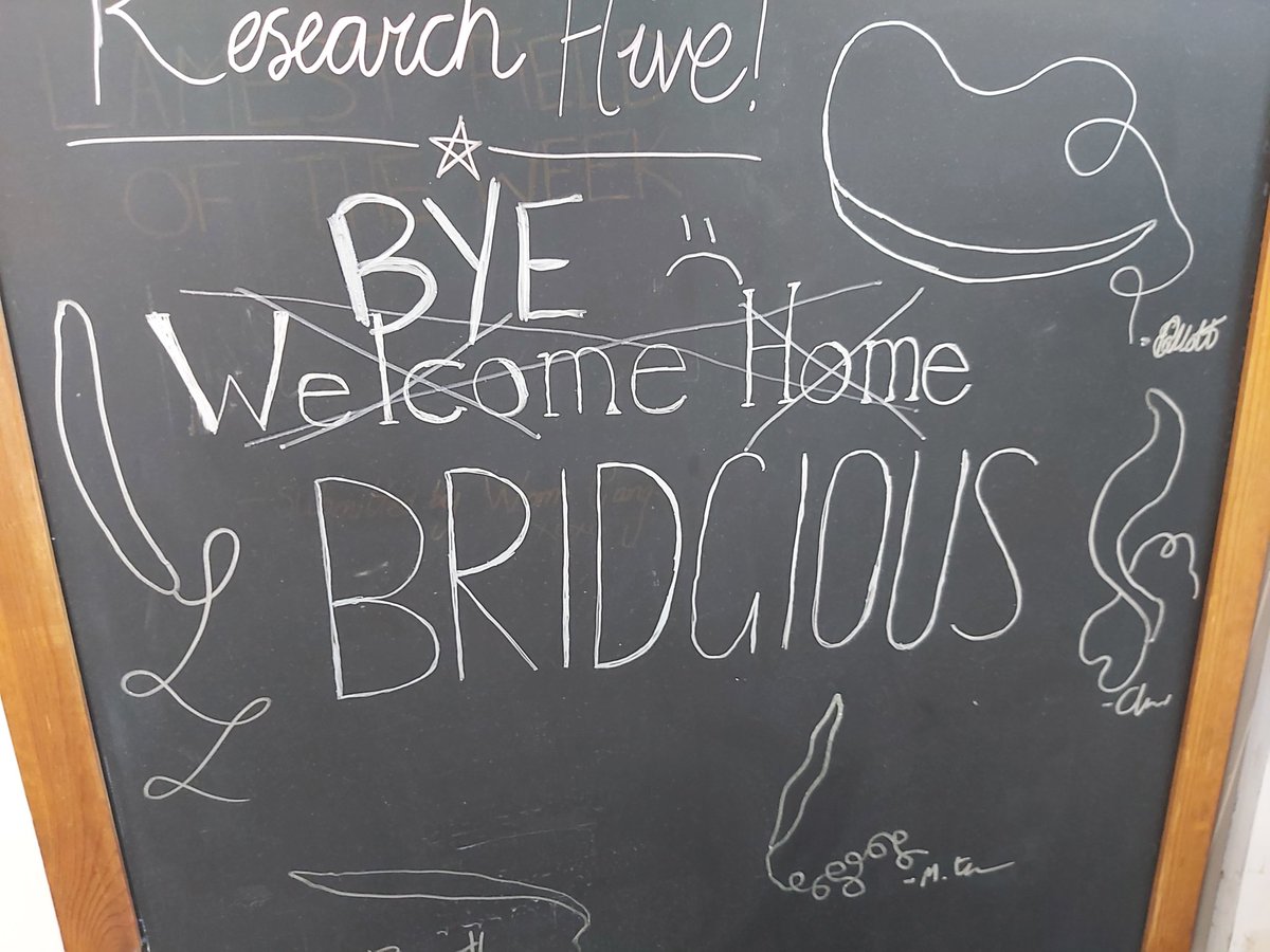 Since <a href="/Bridgious1/">Bridgious</a> came back again, he doesn't get a sappy tweet. But he will still be missed just as much 😭😭 adios amigo
<a href="/grencisgroup/">Grencisgroup</a>