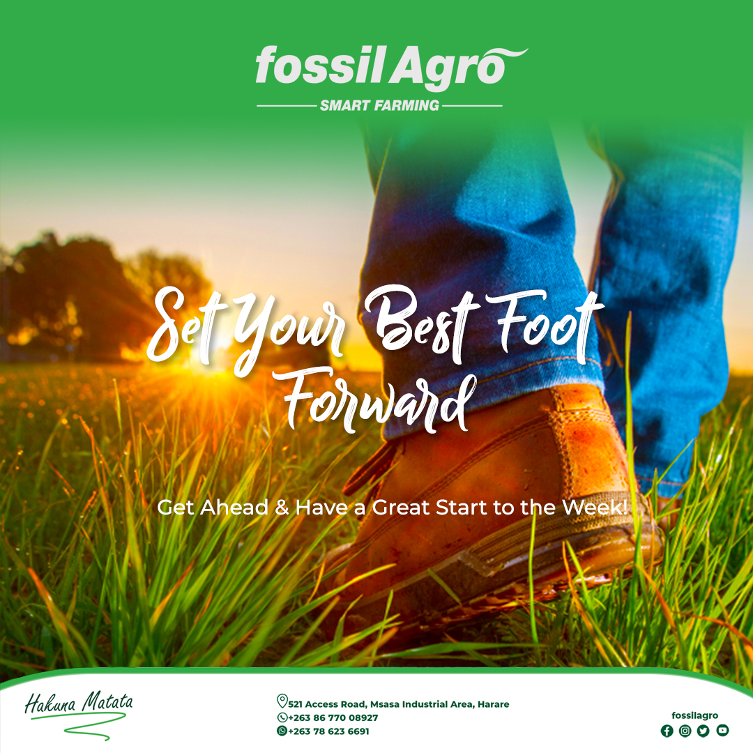 Have a Great Start to the Week!!!

#fossilagro #smartfarming #hakunamatata #HappyMonday
