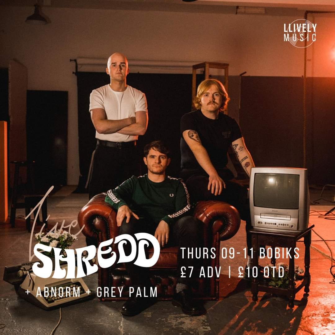 CHANGE OF PLANS ✨ 
The <a href="/_SHREDD/">Shredd</a> gig will now be November 7th at <a href="/BobiksNcl/">Bobik's</a>- with the incredible @greypalmband supporting! 🔥

<a href="/llivelymusic/">LLIVELY Music</a>