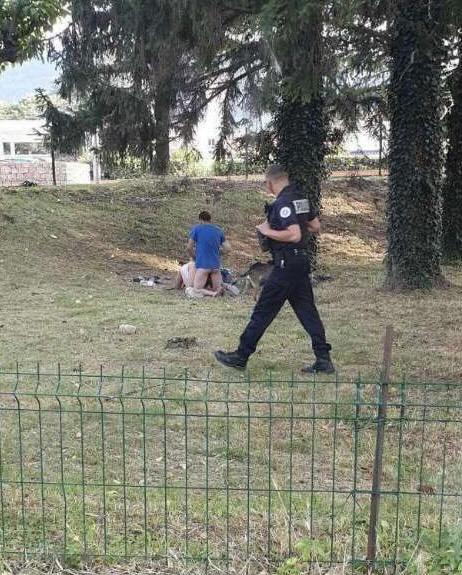 LaSotizerie's tweet photo. Petite balle au fond sur herbe fraîchement coupée qui fait plaisir à son homme afin d'attaquer la semaine comme il se doit en garde à vue le Kevin #LaPétée https://t.co/8iTZhyTbme