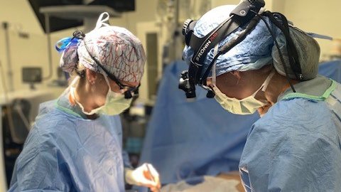 UF Surgery tweet media