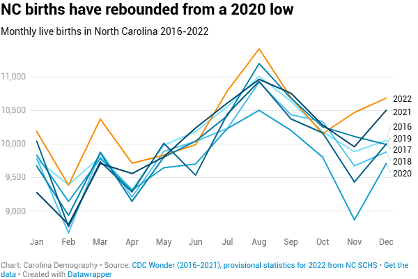 Carolina Demography tweet media