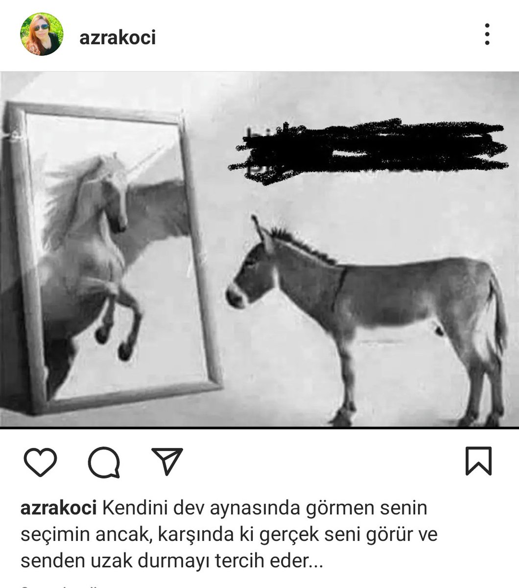 Azra_K... (@kociazra) on Twitter photo 