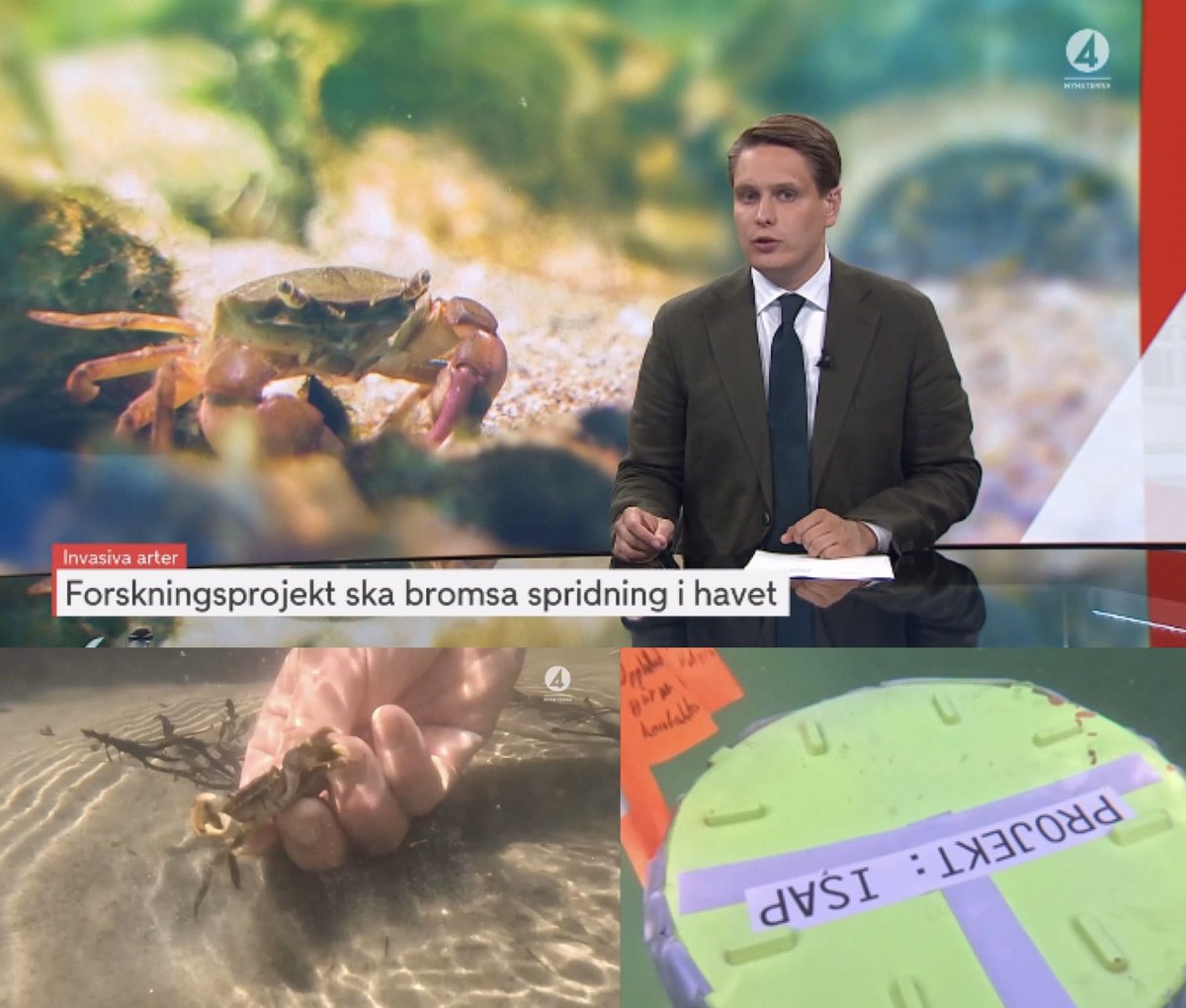 @ISAP-SWEDEN tweet media