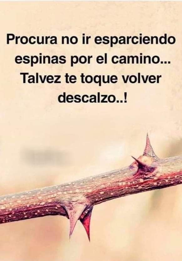 Silvia Velazquez (@silviav28) on Twitter photo 