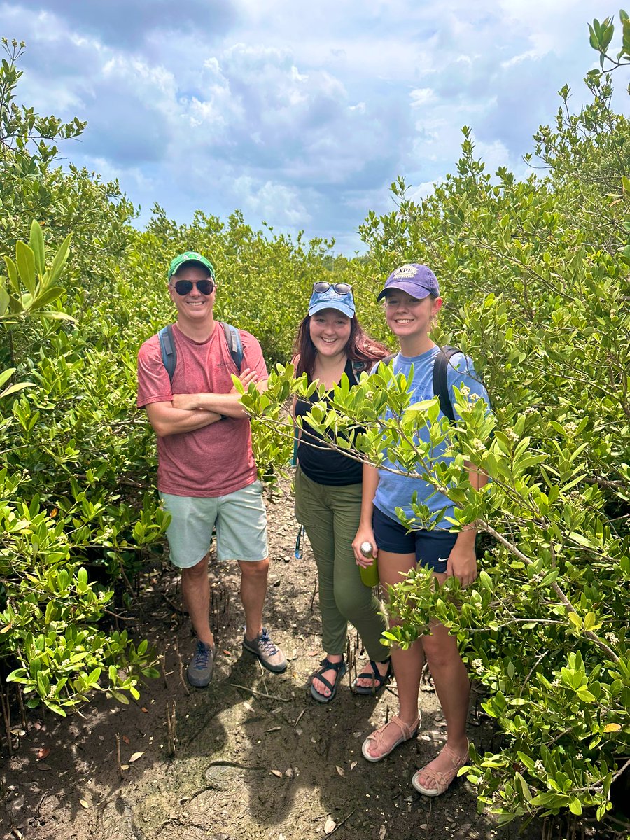 Dan Friess tweet media