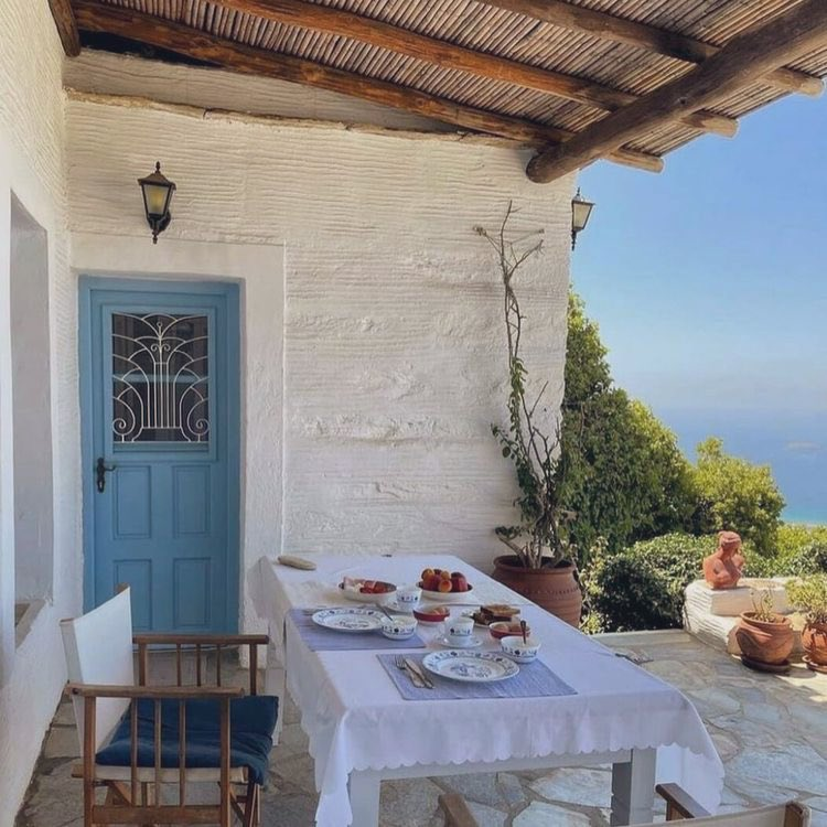 Carnivore Aurelius ©🥩 ☀️🦙 tweet media