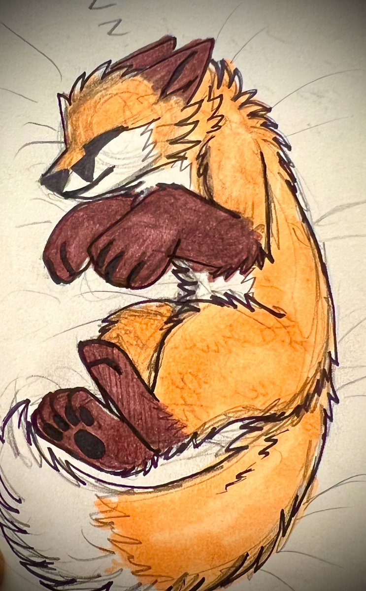 ACreativeDerg's tweet photo. Sleepy fox 🦊 ✨✨✨✨
#foxfursona #fluffyfox https://t.co/1ierctnJWi