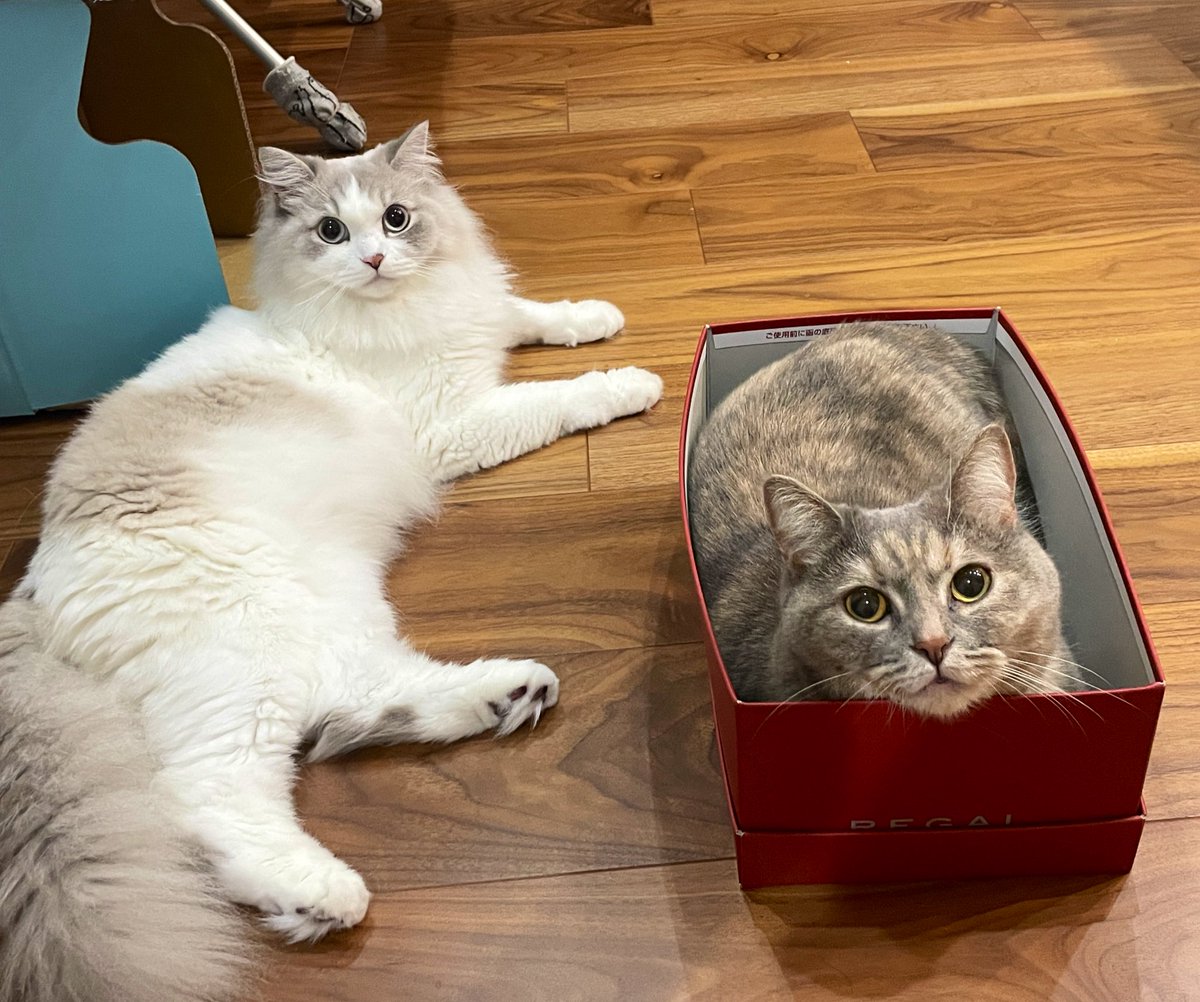 わいんつ@CB650R tweet media