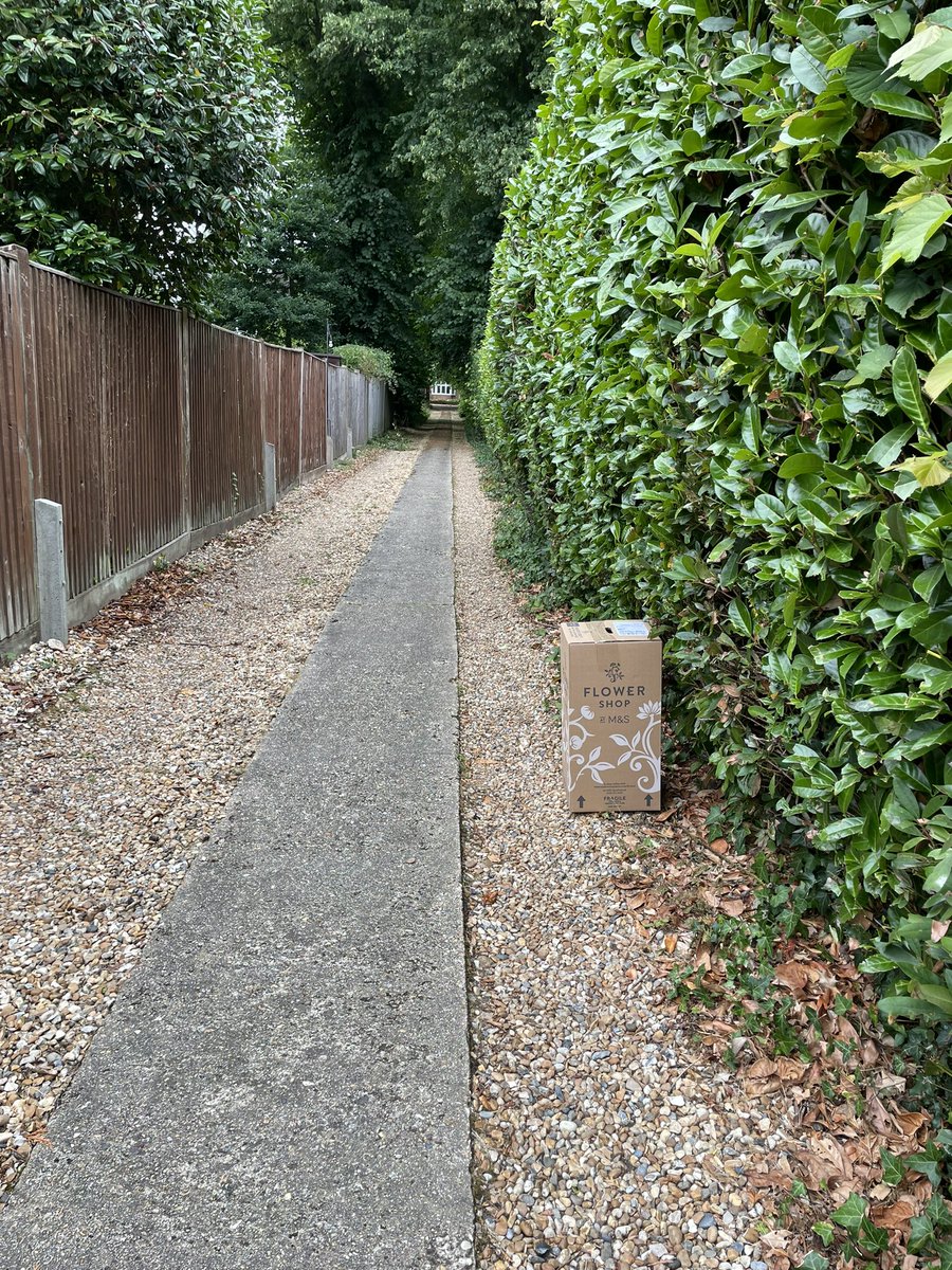 Beautiful flowers from a fab friend. But a very unusual ‘safe space’ for delivery. #lazydelivery <a href="/marksandspencer/">M&S</a> <a href="/YodelOnline/">Yodel by InPost Delivery Network</a>