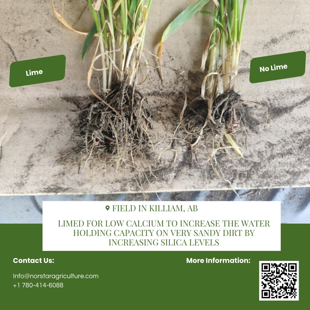 NORSTAR Agriculture tweet media