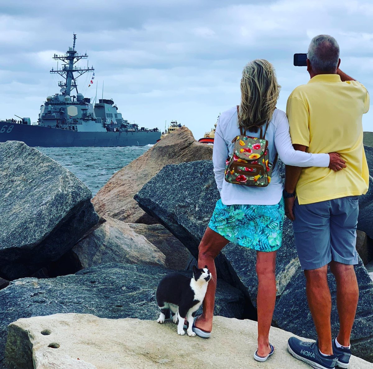 NS_Mayport's tweet photo. ๐โโฌ๐In honor of National Kitten Day, we had to show some love to the most famous feline of our Mayport community! #NationalKittenDay #MayportCat #NavyCat https://t.co/AZxUnpp0qi