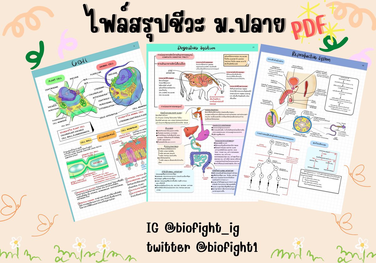 Biofight tweet media