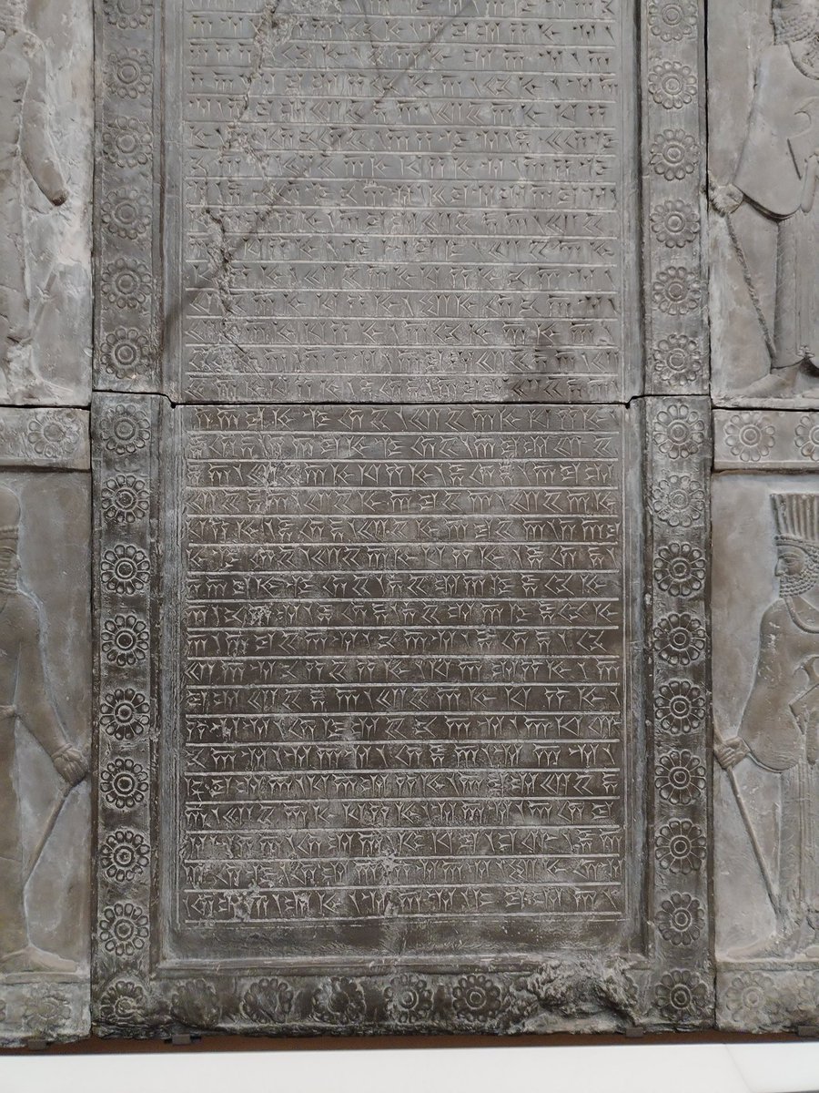 Hal Grayson tweet media