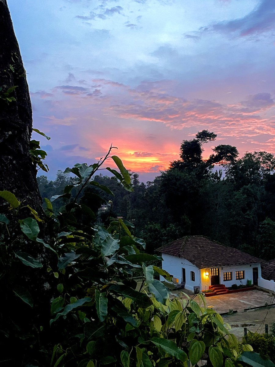 My workplace was lit today 🔥

@ZostelHostel Coorg - 10/07/2023

#zostel #coorg #sunset #karnataka #phonepic