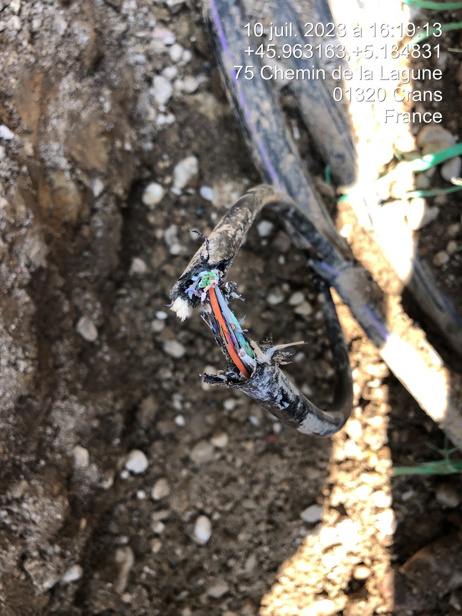 [INCIDENT RESO LI@IN] 
➡️ Un câble fibre optique artère a été arraché par un engin de chantier à 15h20
➡️ Les communes de #Chalamont #VillarsLesDombes #Crans #LePlantay sont impactées
➡️ 207 abonnés sont impactés