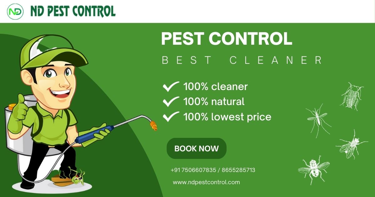 nd_pestcontrol's tweet photo. We believe in eco-friendly pest control. Our services focus on using environmentally safe methods to eliminate pests without harming your family, pets, or the environment. 
#EcoFriendlyPestControl
#PestControlServices 
Contact us
☎️  +91 7506607835 / +91 8655285713 https://t.co/oK1TkmAzi9