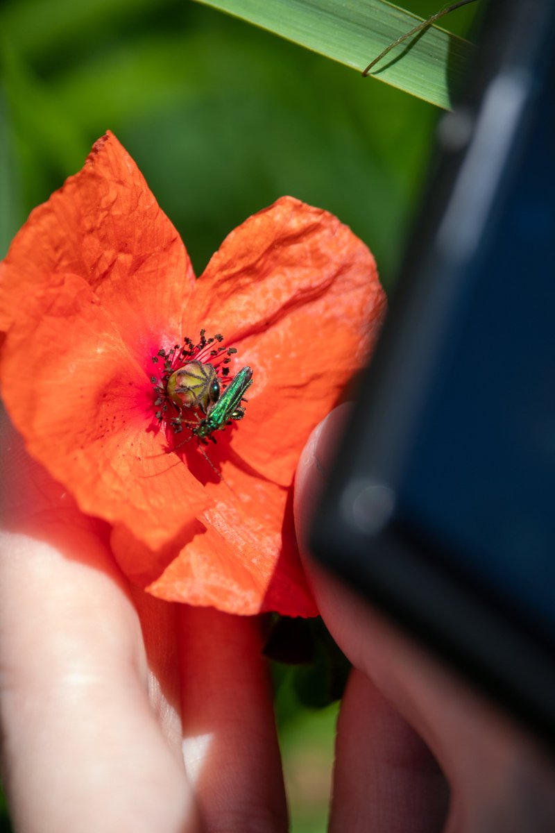 Sustainability at Lincoln tweet media