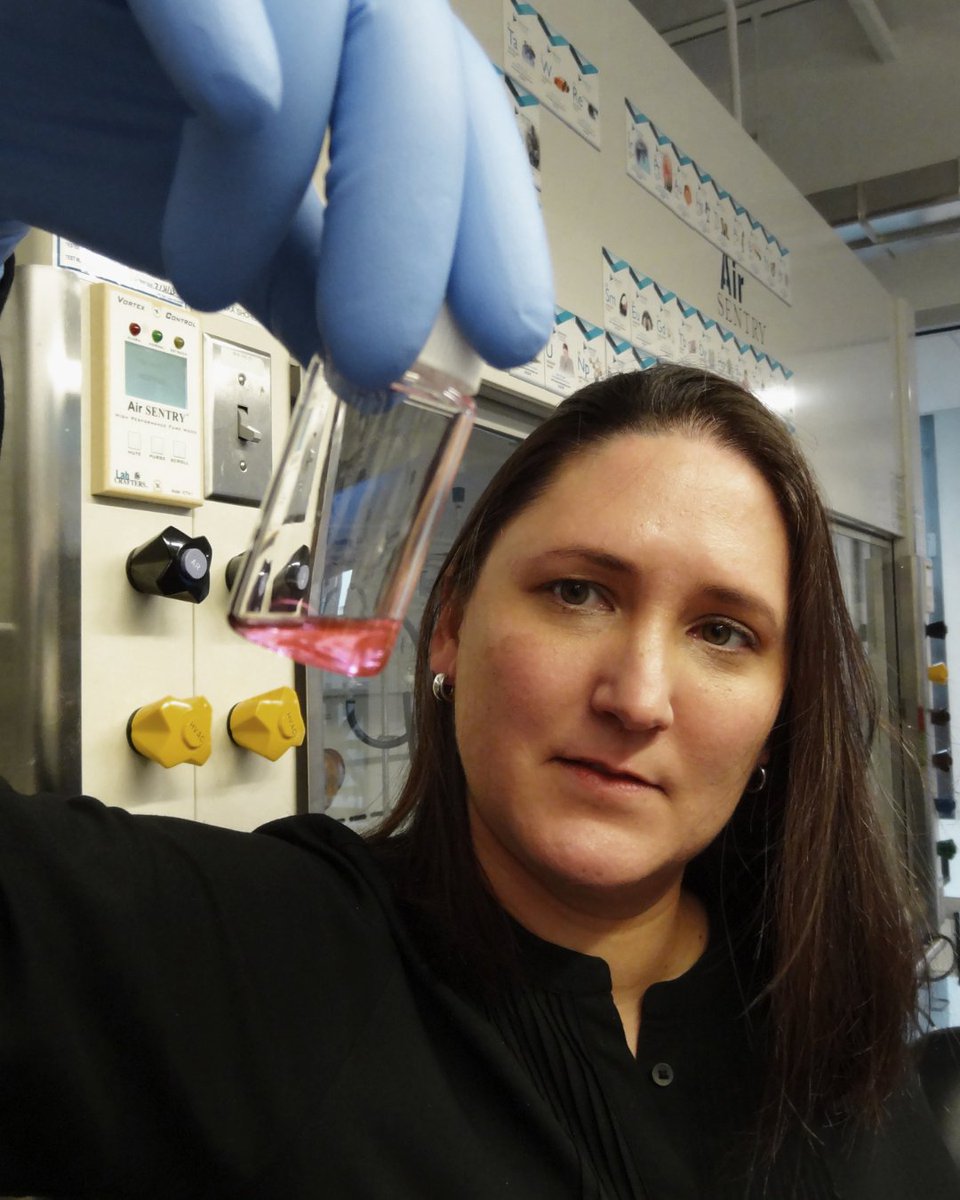 Chan Zuckerberg Initiative tweet media